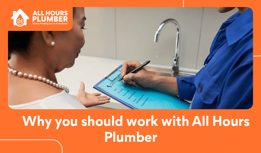 Professional Plumber