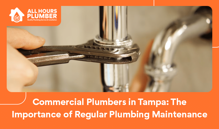 Commercial Plumbers in Tampa - The Importance of Regular Plumbing Maintenance