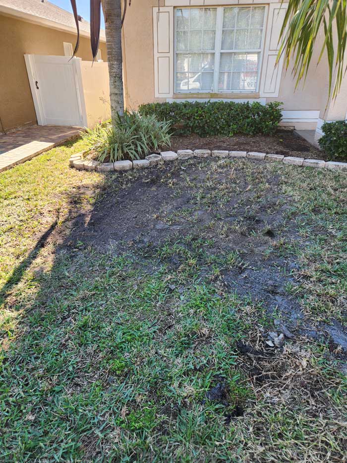 Emergency Plumber In Tampa FL