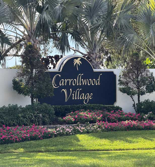 Carrollwood Plumbers